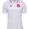 DINAMARCA 2ª EQUIPACIÓN 2024 (EUROCOPA)